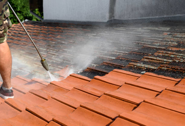 Best Sidewalk Pressure Washing  in Moosic, PA
