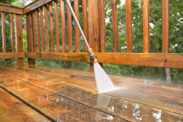 Best Roof Pressure Washing  in Moosic, PA
