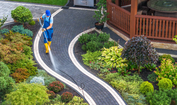 Best House Pressure Washing  in Moosic, PA